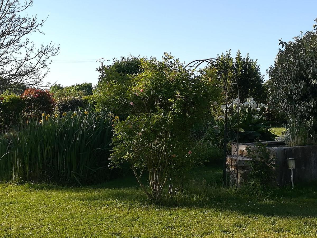 La Cle Du Puy Bed & Breakfast Cabariot Eksteriør bilde